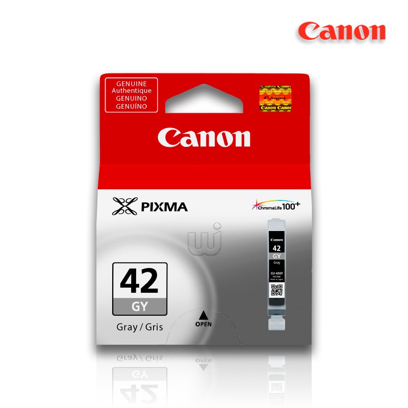 Tinta-Canon-CLI-42G-Gray-13ML-600Pag.-Pro-100-100S.jpg